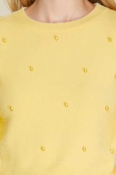 Lucy Puff Sleeve Beaded Sweater