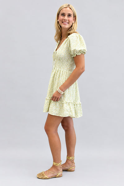 Creamy Lemon and Mint Floral Dress
